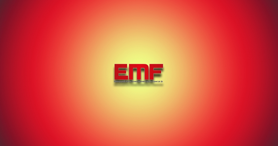 EMF Manyetik Fren